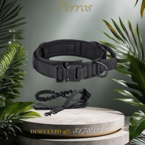 Collar y cuerda para perros
